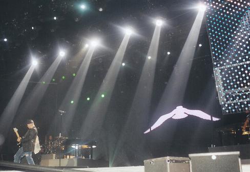 photo IL GABBIANO.JPG